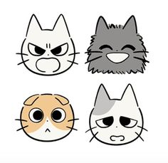 four different types of cats with eyes and nose shapes, each one has a cat's head