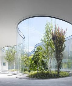 an empty room with glass walls and trees on the outside, in front of a circular window