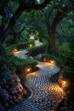 a path with lights in the middle of it surrounded by trees and rocks at night