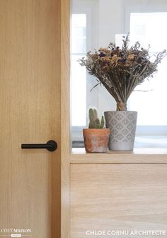 some plants are sitting on a shelf in front of a window with a door handle