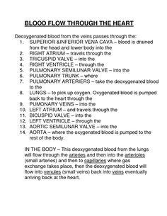 the blood flow through the heart is shown in black and white, with words above it