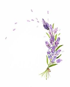 a painting of purple flowers on a white background