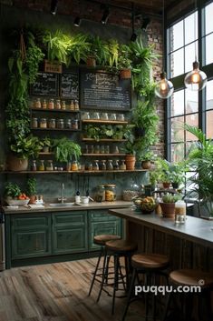 a kitchen with lots of plants on the wall and wooden flooring in front of it