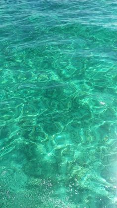 the water is very clear and blue with little ripples on it's surface