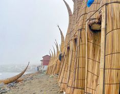 a row of bamboo poles sitting on top of a beach