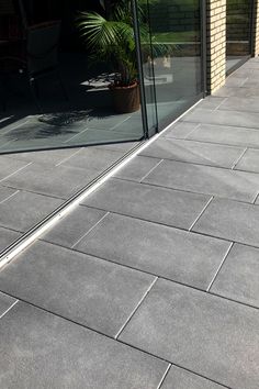 a cat laying on the ground in front of a glass door with a plant next to it