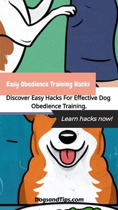 an image of a cartoon dog with the caption'easy evidence training hacks '