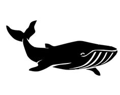 a black and white silhouette of a humpback whale on a white background illustration