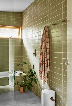 a green tiled bathroom with a plant and toilet paper dispenser on the wall