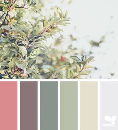 the color palette is pale, green and pink with some red berries on it's branches