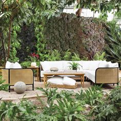 an outdoor living area with couches, tables and plants