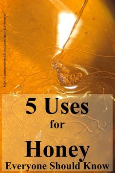 5 Uses for Honey Everyone Should Know - Find out why honey is a "must have" in your pantry and medicine cabinet. Uses For Honey, Honey Uses, Collage Des Photos, Honey Recipes, Homeopathic Remedies, Homemade Remedies, Food Tips, Natural Home Remedies, Natural Home