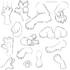 a drawing of feet and paws with different shapes, sizes, and colors on them