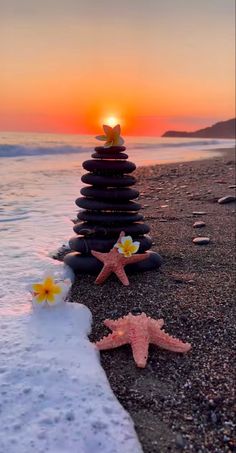 the sun is setting behind some rocks on the beach with flowers growing out of them