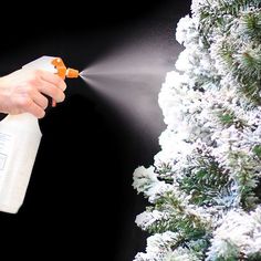 a person sprays snow on a pine tree with a disinfectant bottle