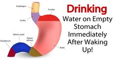 Did you know that Japanese people have a habit of drinking water immediately after waking up. It’s an ancient tradition for healing many diseases that became ... Advantages Of Drinking Water, Parmesan Roasted Cauliflower, Kidney Stone, Body Ache, Detox Your Body, High Cholesterol, Health Magazine, Roasted Cauliflower