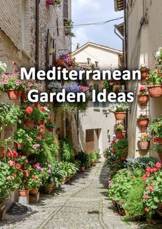 an alley way with potted plants and flowers on the sides, along with text overlay that reads mediterranean garden ideas