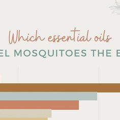 Holly | Essential Oil Education on Instagram: "In a new study conducted by New Mexico State University, they tested 20 different essential oils diluted to 10% in a lotion base to determine the efficacy in repelling mosquitoes. Each essential oil was applied to a volunteers’ skin and their arm was placed in a cage with 25 mosquitoes. Complete protection time was determine when the volunteer experienced their first bite. The results above show that plant-based repellents work to prevent mosquito bites in low-risk areas, as long as you reapply them as needed.

*Note: Clove and cinnamon essential oil are dermal irritants and sensitizers. Use a lower dilution of these oils if making a topical product. (My recipe is 1.5% dilution and only uses 0.2% of clove oil). 
**It is also worth noting that Prevent Mosquito Bites, New Mexico State University, Essential Oil Education, Mosquito Bites, Rv Road Trip, Cinnamon Essential Oil, Clove Oil, Mosquito Bite, Insect Repellent