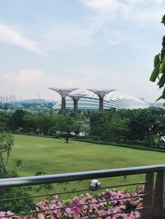 gardens by the bay in singapore with pink flowers and greenery on either side of them