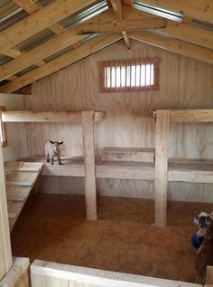 two sheep standing in the middle of a room with wooden walls and beams on the ceiling