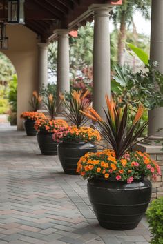 some very pretty flowers in large pots on the side of a building with columns and pillars