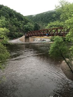 a bridge over a river surrounded by trees