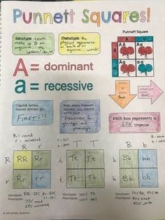 an open book with some writing and pictures on the pages that include punnet squares