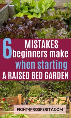 several different types of garden plants with text overlay that reads 6 mistakes beginners make when starting a raised bed garden