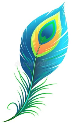 a blue and yellow peacock feather on a white background stock photo - 787982