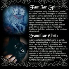 Animal Healing Spell, Animals As Omens, Animal Omens, Beginner Witchcraft, Find Your Spirit Animal, Witch Life, Cat Spirit, Witches Familiar, Pagan Spirituality