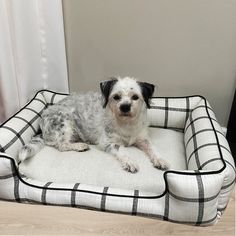 a dog laying on top of a white and black checkered pet bed in front of a window