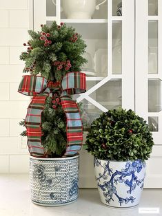 two potted plants sitting next to each other in front of a white cabinet with glass doors