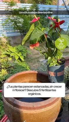 a potted plant sitting on top of a wooden barrel next to other pots filled with plants