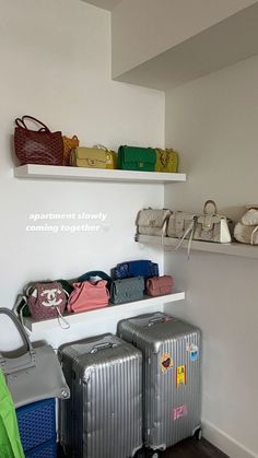 there are many bags and purses on the shelves