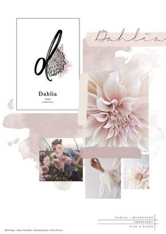 the back cover of dahlia magazine, with photos and text in pink tones on it