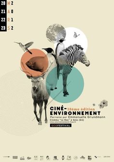 a poster with an animal, zebra and bird on it's back cover for the one environment festival