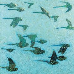 many birds are flying in the blue water