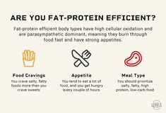 Which metabolic type are you? Metabolic type dieting (also called metabolic typing) is based on the idea that your metabolism — the way your body turns food into energy — is unique to you. Our article covers the theory behind metabolic type dieting, pros and cons of metabolic typing, and how to find your metabolic type, as well as a fat-protein efficient meal plan, carbohydrate efficient meal plan, and mixed type meal plan. Protien Diet, Metabolic Type, Hormone Nutrition, Gut Reset, Metabolism Foods, Abs Diet, Protein Metabolism, Caloric Deficit, Fat Loss Diet Plan