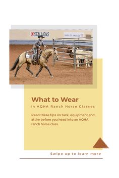 a brochure with an image of a man riding a horse and the words what to wear