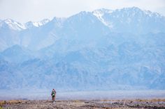 a man is running in the mountains with his dog on a dirt road near him