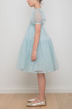 The Ella Dress is embroidered all-over with dots and made using the finest quality silk organza. The bodice is fitted and the skirt features layers of organza making it big and voluminous. This is the ultimate Cinderella Dress. 100% Silk Cold wash Cinderella Dress, Cinderella Dresses, Silk Organza, Petite Dresses, Dress 100, Dot Dress, Tulle Skirt, Cinderella, Bodice