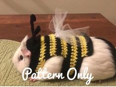 a black and white cat wearing a bee costume with the words pattern only written on it