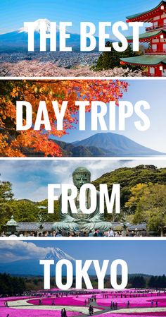 the best day trips from tokyo