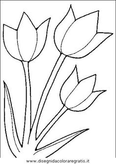 three tulips are shown in black and white, with one flower on the left side