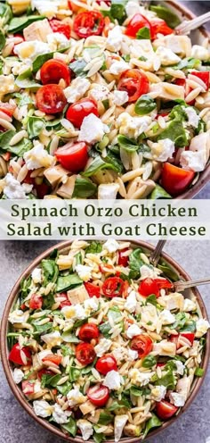 spinach orzo chicken salad with goat cheese and tomatoes in a large serving bowl