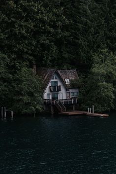 a house sitting on top of a body of water next to a lush green forest