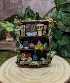 a small shelf with plants and rocks on it sitting on top of a tree stump