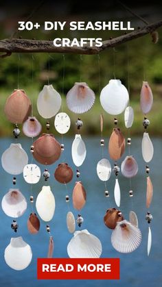 seashells hanging from a tree branch with the words, 30 diy seashell crafts read more