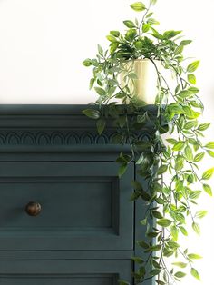 a potted plant sitting on top of a green dresser next to a white wall