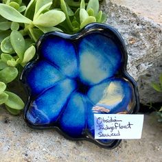 a blue flower shaped dish sitting on top of a rock next to some green plants